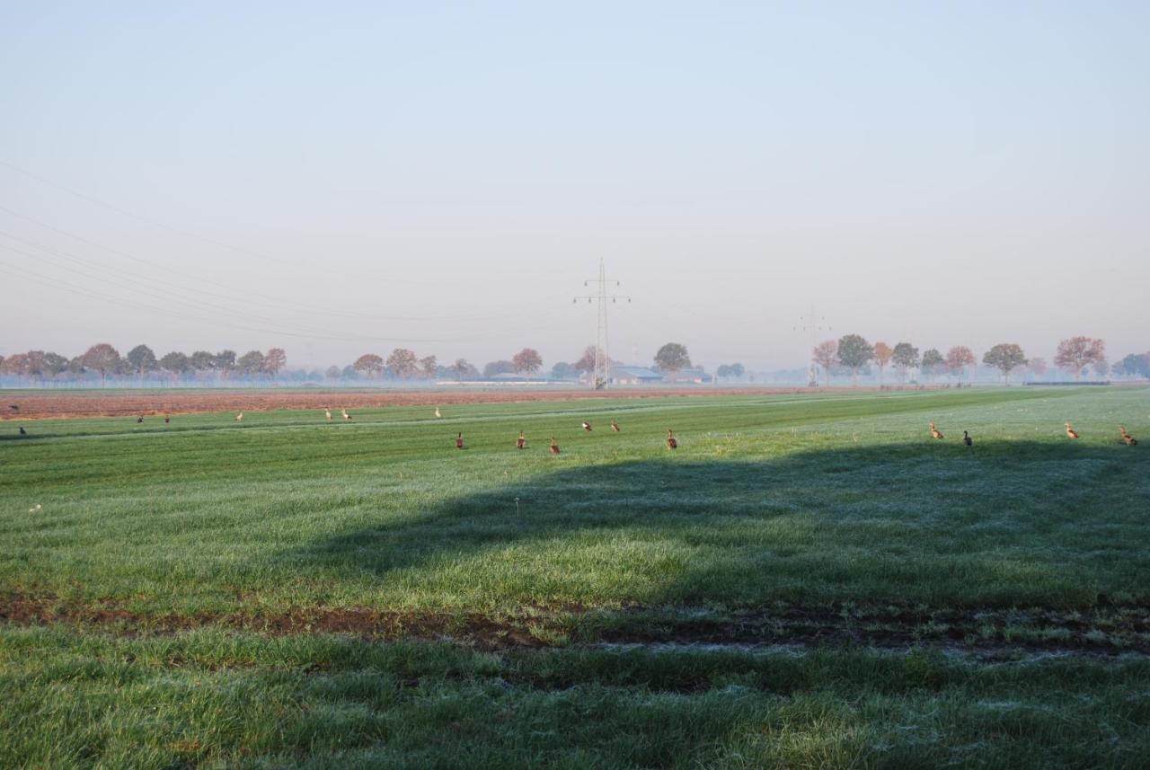 Hoeve De Heemser Parel Heemserveen Exterior foto